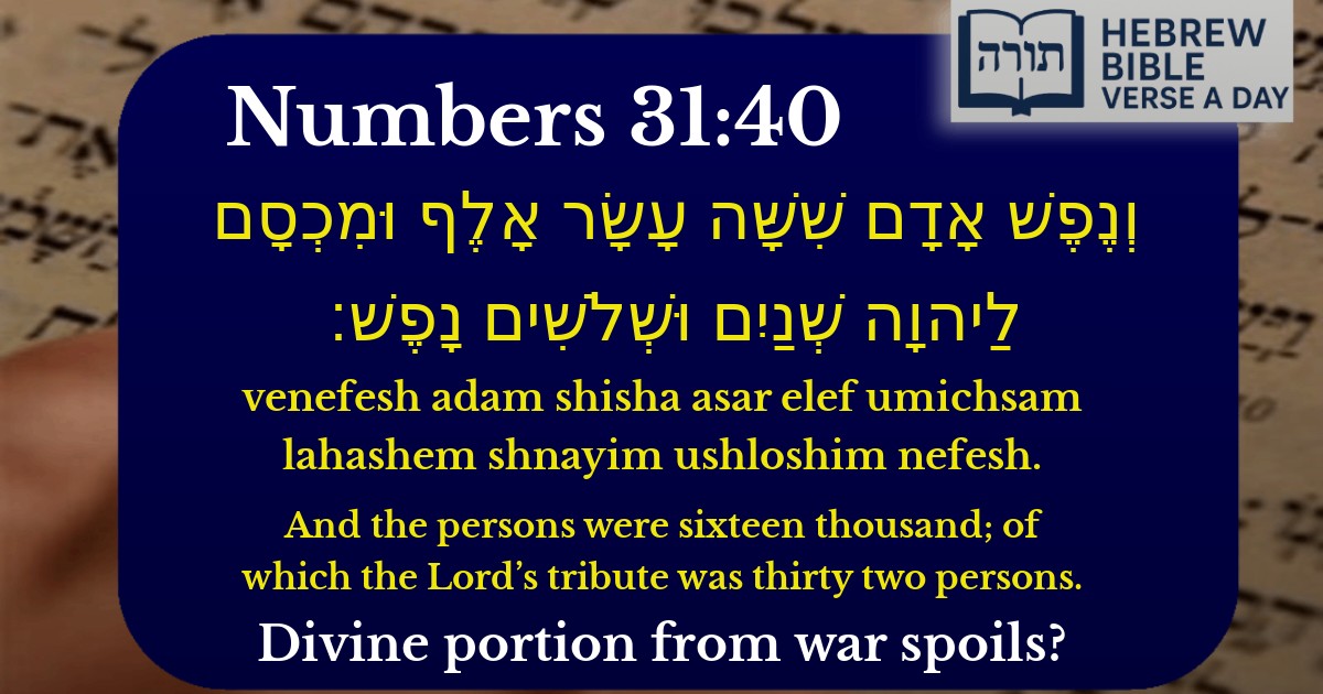 Numbers 31:40 - במדבר 31:40