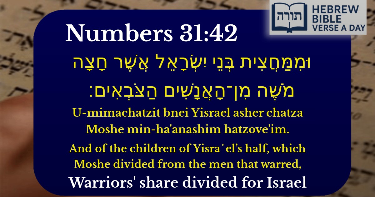 Numbers 31:42 - במדבר 31:42
