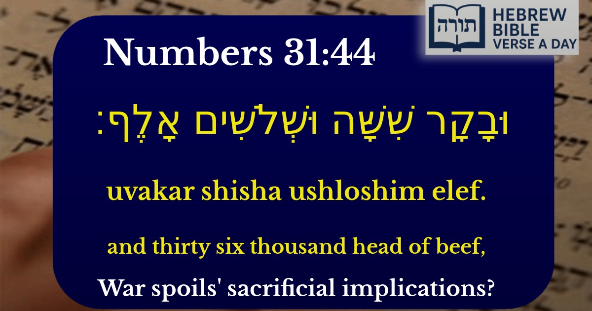 Numbers 31:44 - במדבר 31:44