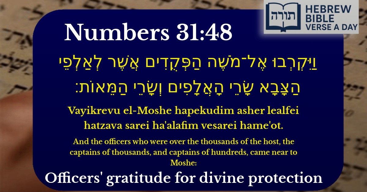 Numbers 31:48 - במדבר 31:48