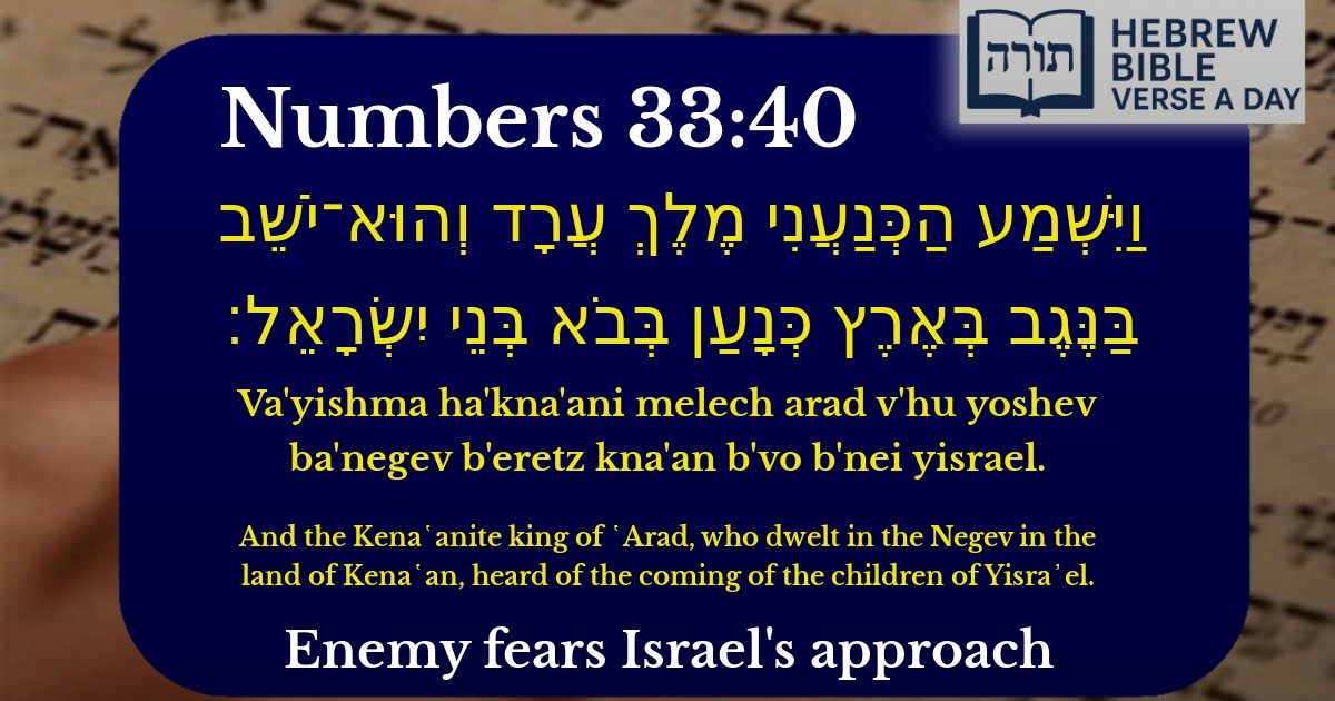 Numbers 33:40 - במדבר 33:40