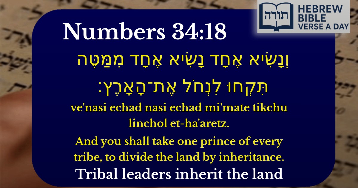 Numbers 34:18 - במדבר 34:18